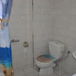 Daisy 艾斯普罗瓦塔