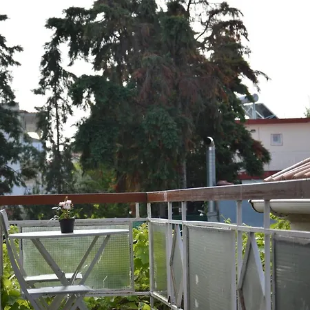 Daisy 아스프로발타